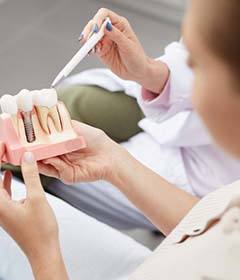 implant dentist in Freedom showing a patient a model of a dental implant in the jaw 