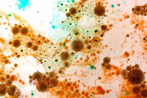 Bacteria pictured.
